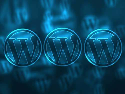 苏州高效SEO优化与网络科技开发公司推荐