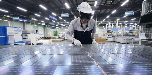 科创板“第一军团”的锻造之路 聚焦网络科技技术开发的崛起与启示