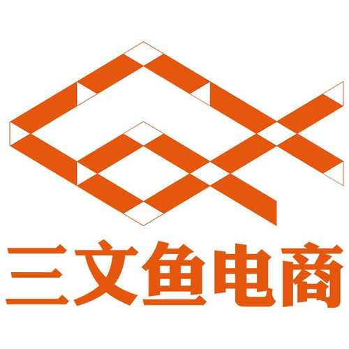 安徽三文鱼网络科技 技术驱动的数字创新先锋